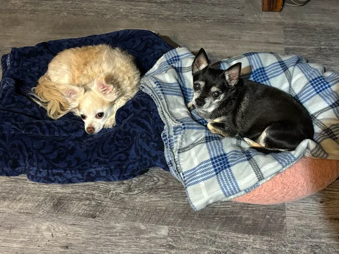 Poynette Veterinary Care Picture 4
