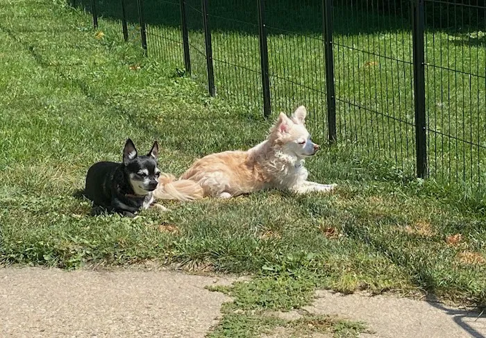Poynette Veterinary Care Picture 6