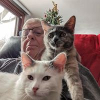 DeForest Veterinary Clinic ico
