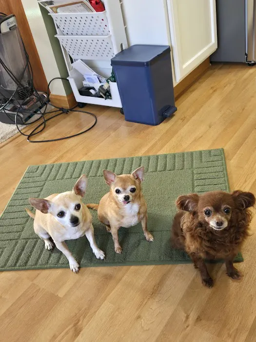 DeForest Veterinary Clinic Picture 3