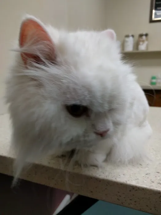 DeForest Veterinary Clinic Picture 7