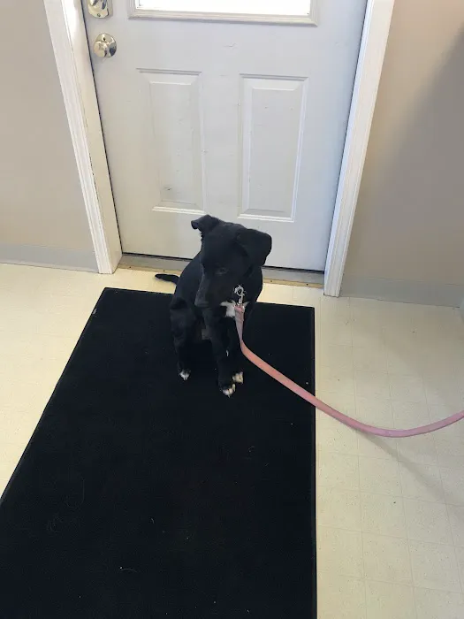 B & R Veterinary Clinic Picture 3