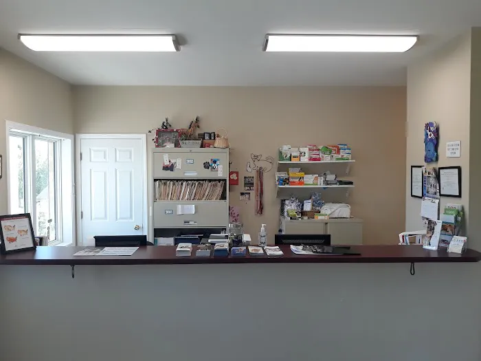B & R Veterinary Clinic Picture 8