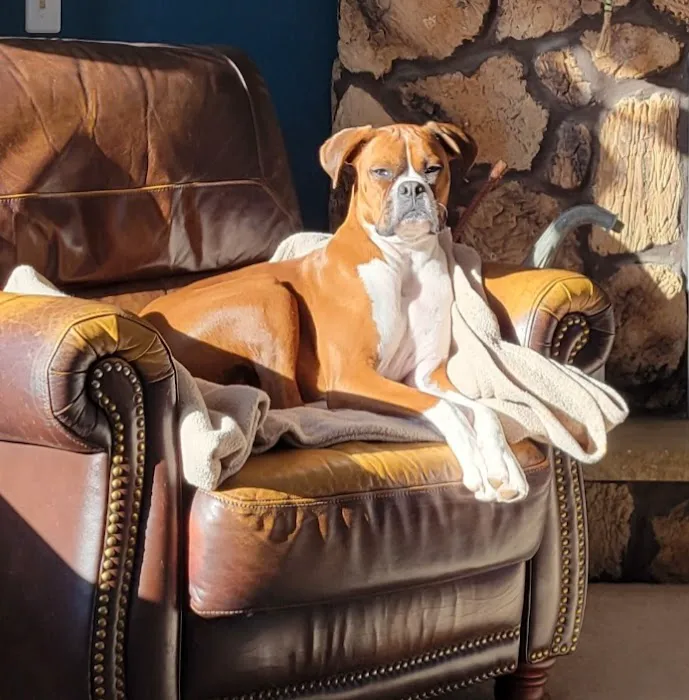 Columbus Countryside Veterinary Clinic Picture 4