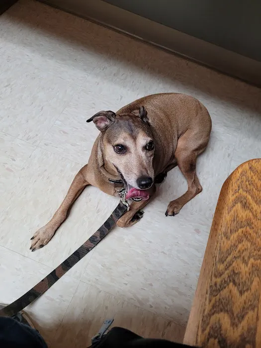 Columbus Countryside Veterinary Clinic Picture 8