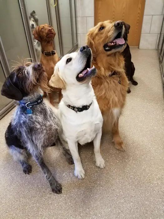 Lancaster Veterinary Clinic Picture 3
