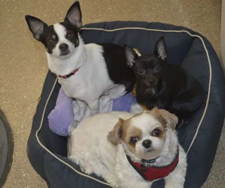 Lancaster Veterinary Clinic