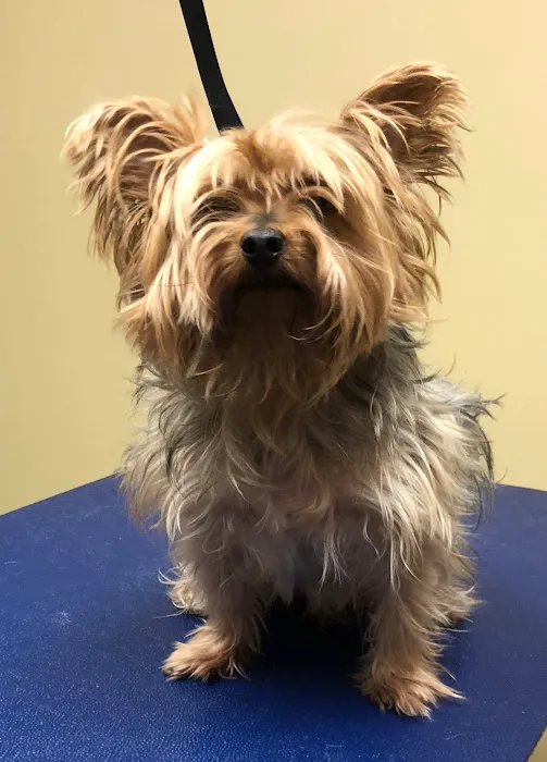 Lancaster Veterinary Clinic Picture 7