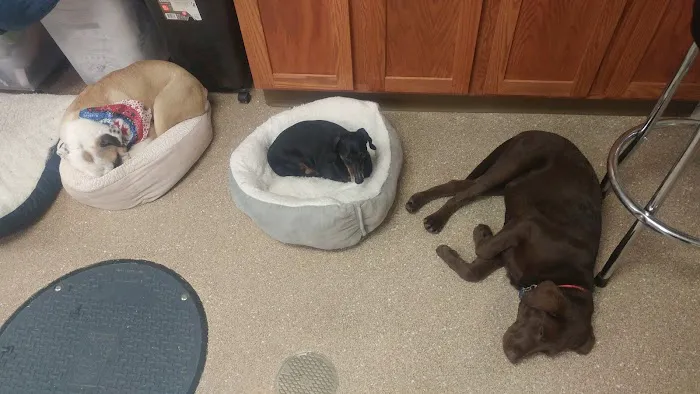 Lancaster Veterinary Clinic Picture 9