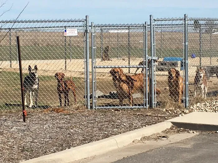 Lancaster Veterinary Clinic Picture 10