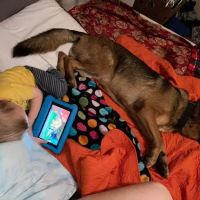 Grant County Veterinary Services ico