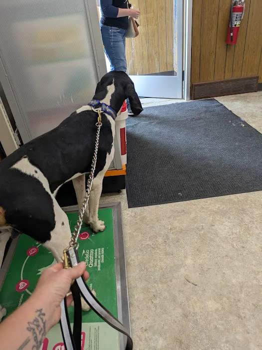 Grant County Veterinary Services Picture 9