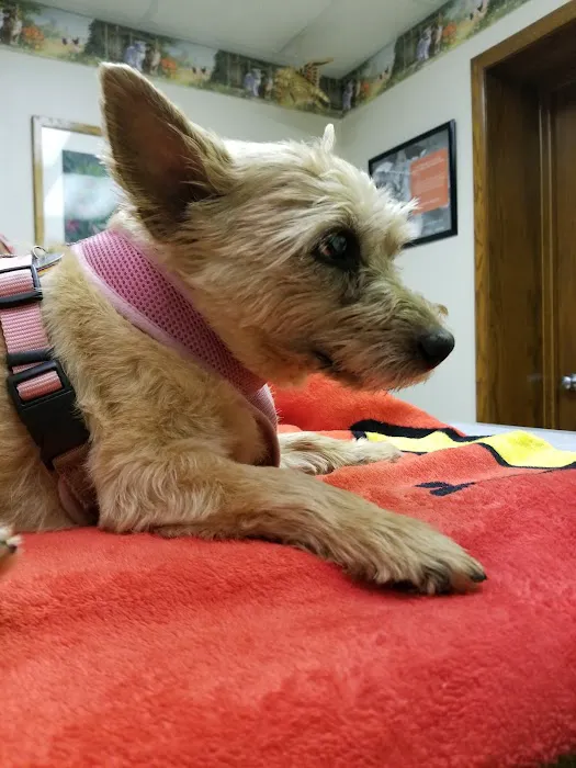 Dodgeville Veterinary Service Picture 1
