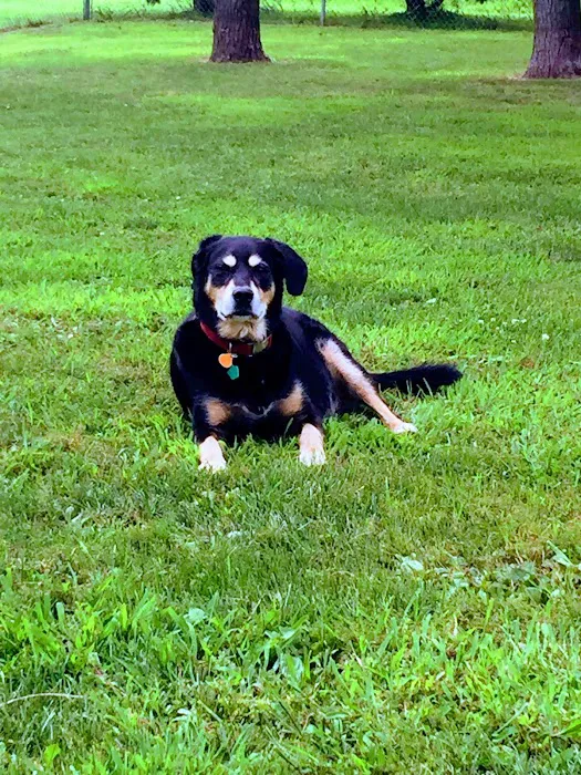 Dodgeville Veterinary Service Picture 9
