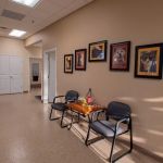 Family Pet Hospital LLC