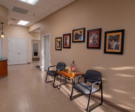 Family Pet Hospital LLC