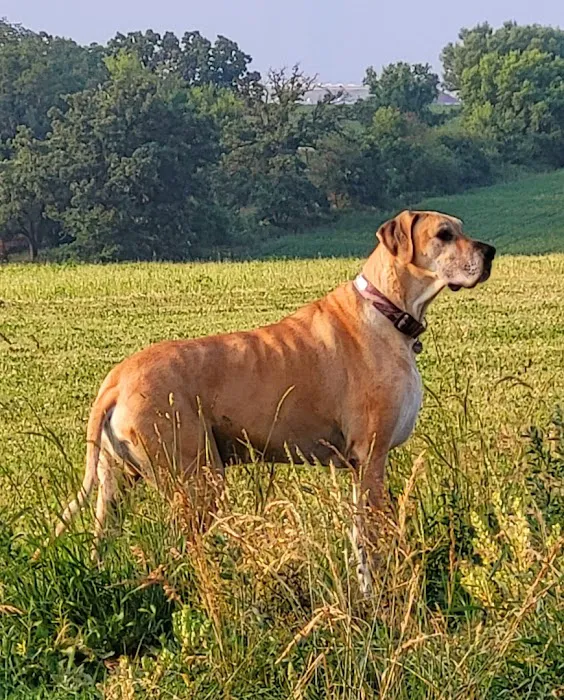 Family Pet Hospital LLC Picture 5