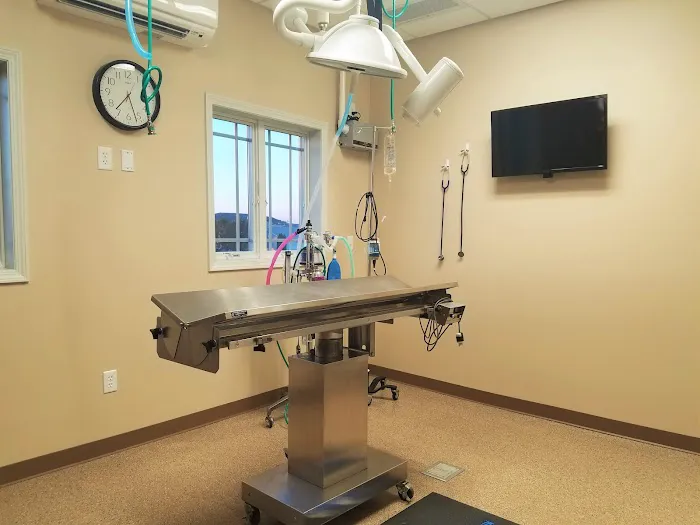 Family Pet Hospital LLC Picture 8