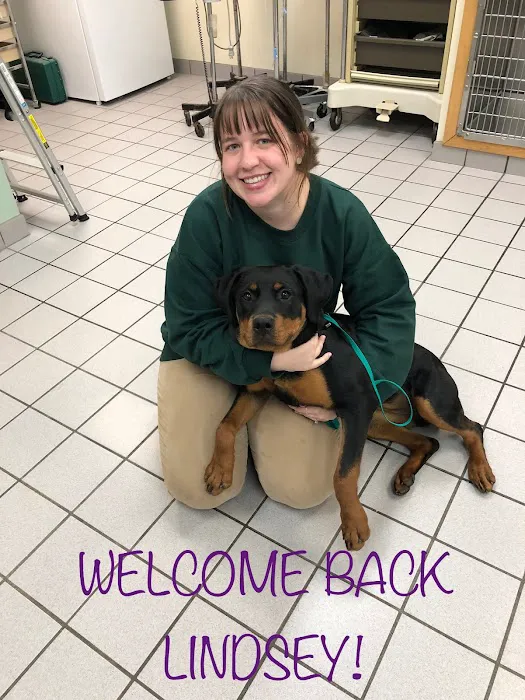 Sauk Prairie Small Animal Hospital and Shamrock Pet Resort Picture 6