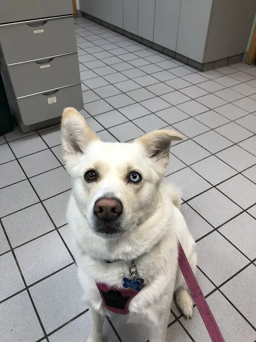 Sauk Prairie Small Animal Hospital and Shamrock Pet Resort Picture 7