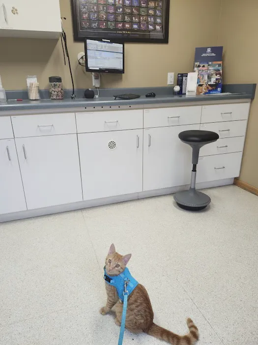 Mazomanie Animal Hospital Picture 1