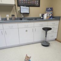 Mazomanie Animal Hospital ico