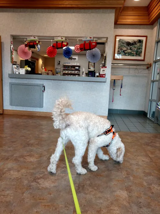 Mazomanie Animal Hospital Picture 5