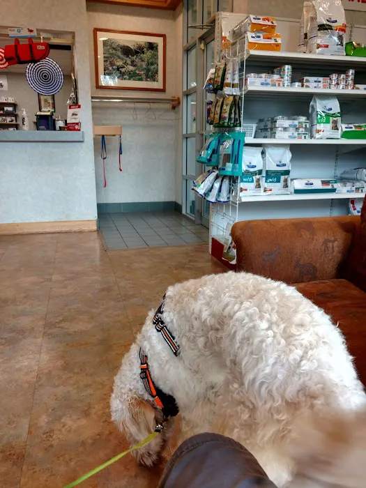 Mazomanie Animal Hospital Picture 4