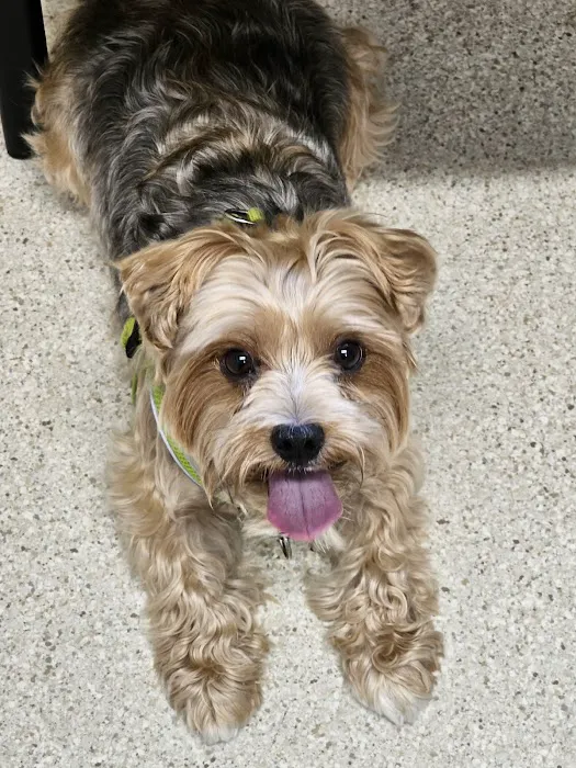 Mazomanie Animal Hospital Picture 9