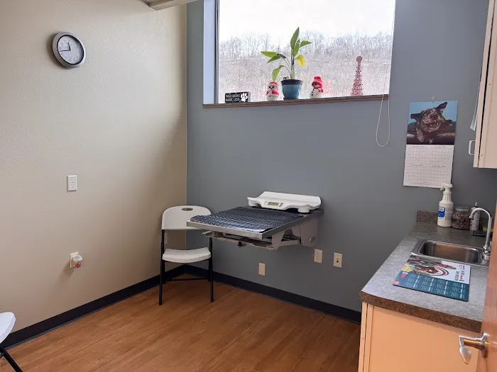 Creekside Veterinary Clinic Picture 6