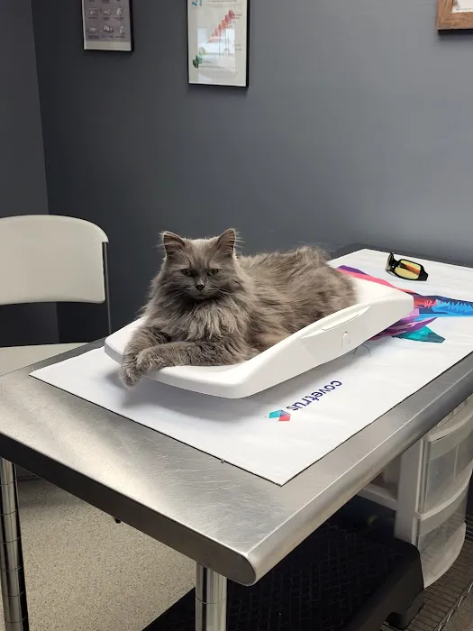 Black Earth Veterinary Clinic Picture 9