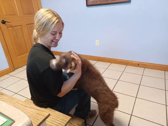 Starlight Veterinary Clinic Picture 2