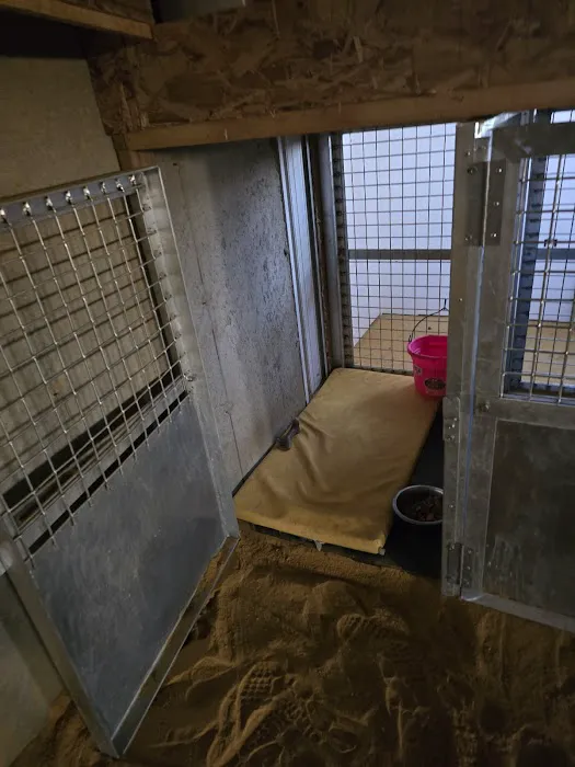Starlight Veterinary Clinic Picture 8