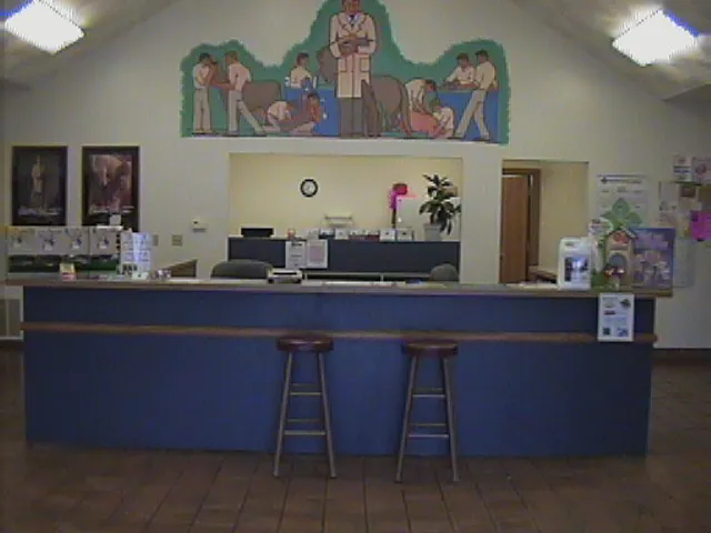 Tri Vet Associates Picture 9