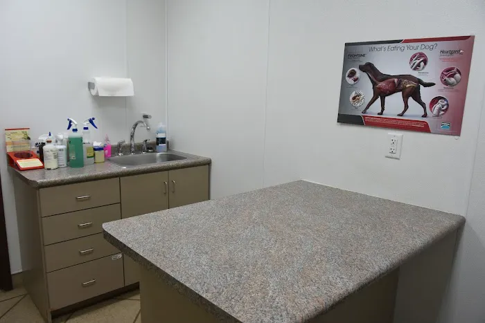 Animal Health Clinic Picture 4