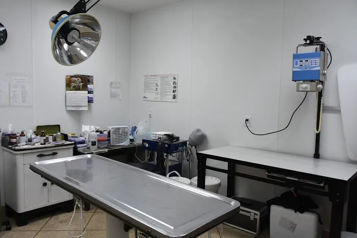 Animal Health Clinic Picture 1