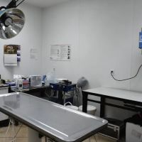 Animal Health Clinic ico