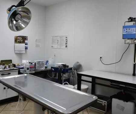 Animal Health Clinic
