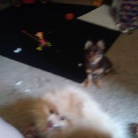 Fargo-Moorhead Animal Hospital ico