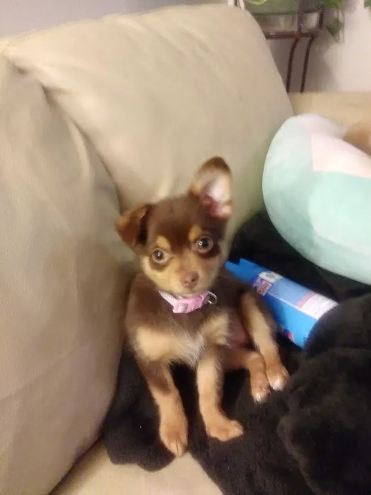 Fargo-Moorhead Animal Hospital Picture 3