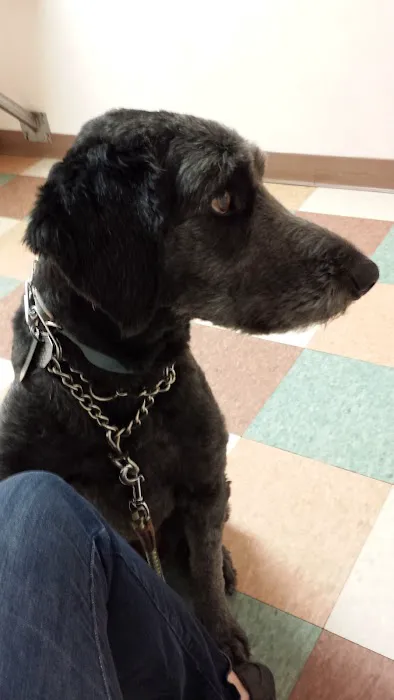 Fargo-Moorhead Animal Hospital Picture 4