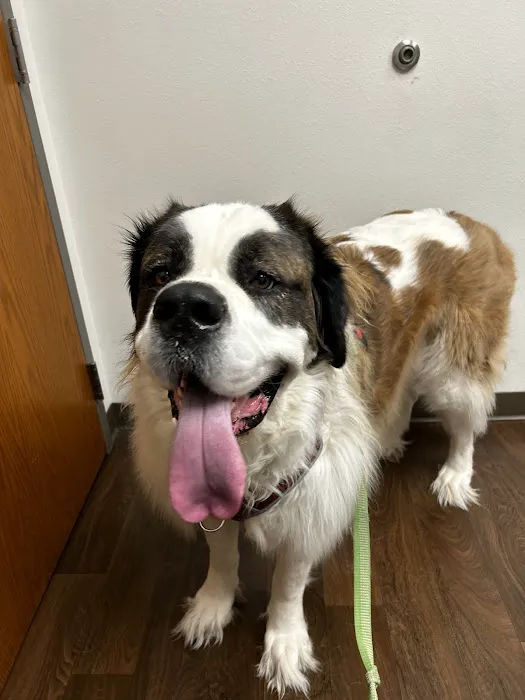 Casselton Veterinary Service, Fargo Picture 5