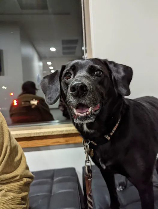 Casselton Veterinary Service, Fargo Picture 2