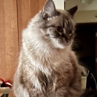 Prairie Winds Veterinary Center ico