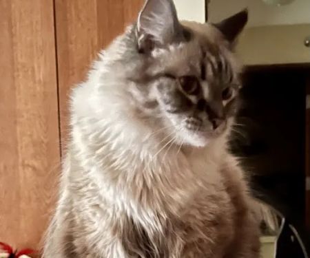 Prairie Winds Veterinary Center