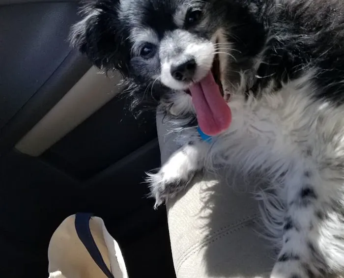 Prairie Winds Veterinary Center Picture 4