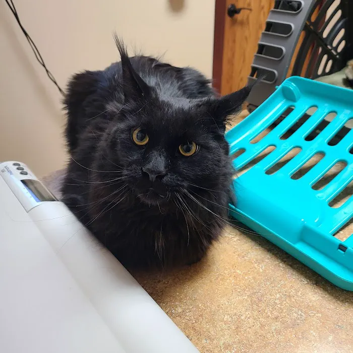 Prairie Winds Veterinary Center Picture 8