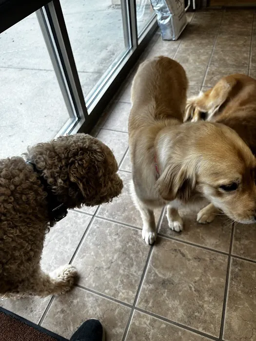 Diamond Q Animal Hospital Picture 3