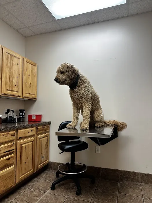 Diamond Q Animal Hospital Picture 4