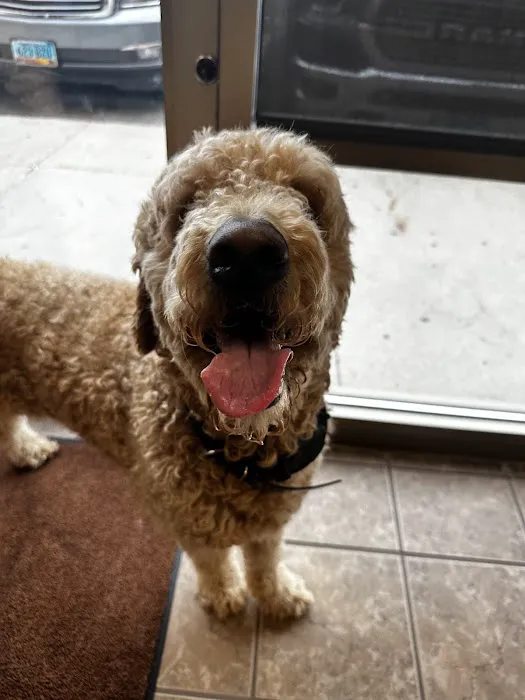 Diamond Q Animal Hospital Picture 8